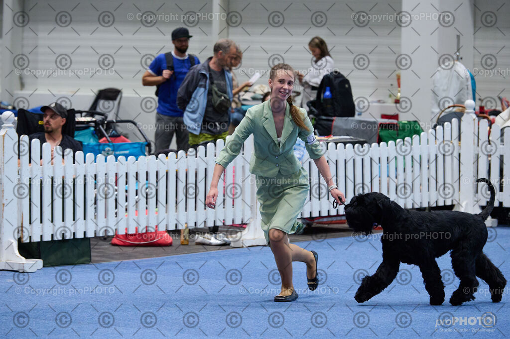 202406_ÖKV-IHA-Tulln24_DSC_4765 | proPHOTO - Realisiert mit Pictrs.com