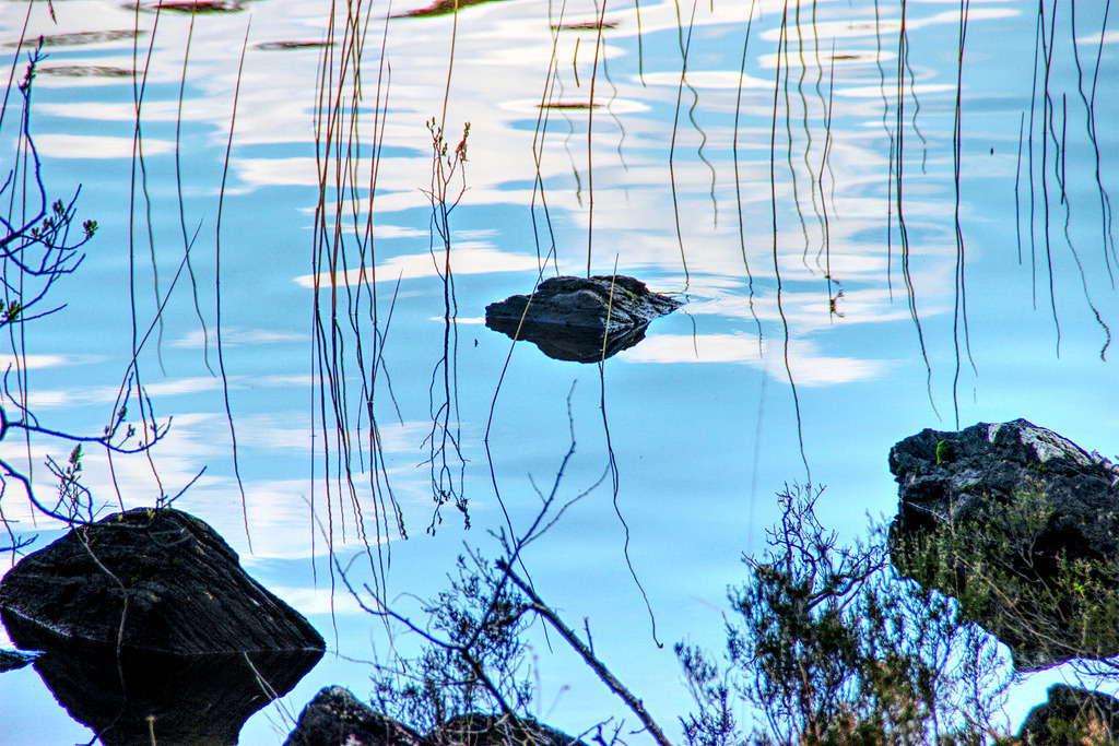 Killarney National Park Water Mirror | www-pimpup-me - Realisiert mit Pictrs.com