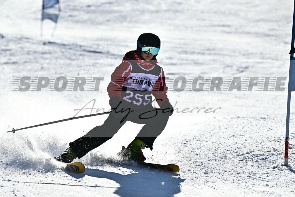 DSC_8564 | Kaufen Sie Sportbilder im Onlineshop von Andy Scherrer Sportfotografie. Faszinierende Bilder von Sportevents aus der ganzen Schweiz. Fussball, Frauenfussball, Unihockey, Handball, Schwingen und weiteren Sportarten. - Realisiert mit Pictrs.com