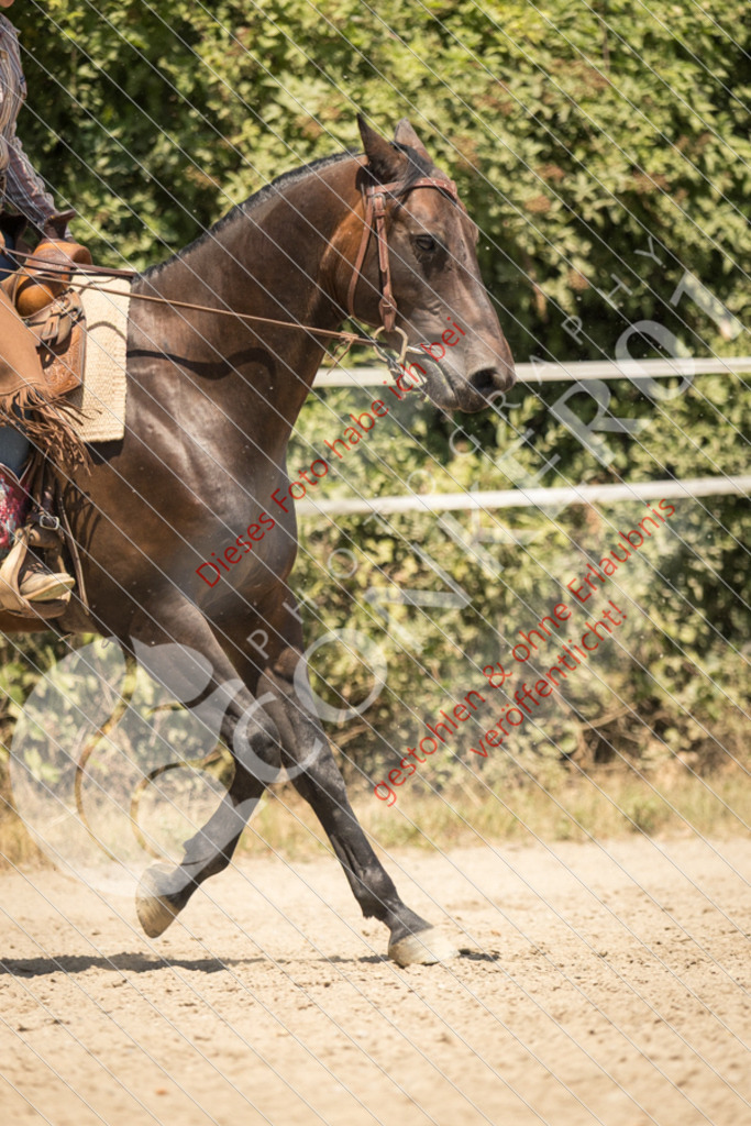 IMG_0239 | Sport-, Event- und Tierfotos in Profiqualität. Einfach auswählen, bestellen und herunterladen. Dein Moment – perfekt festgehalten.