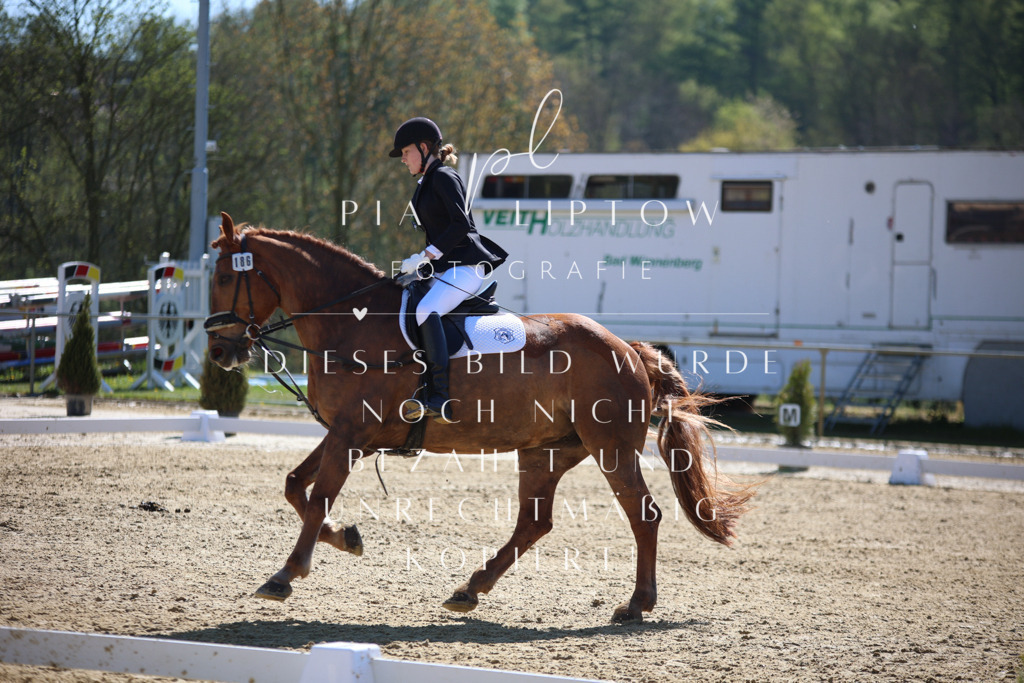 IMGT0488 | pl-fotografie