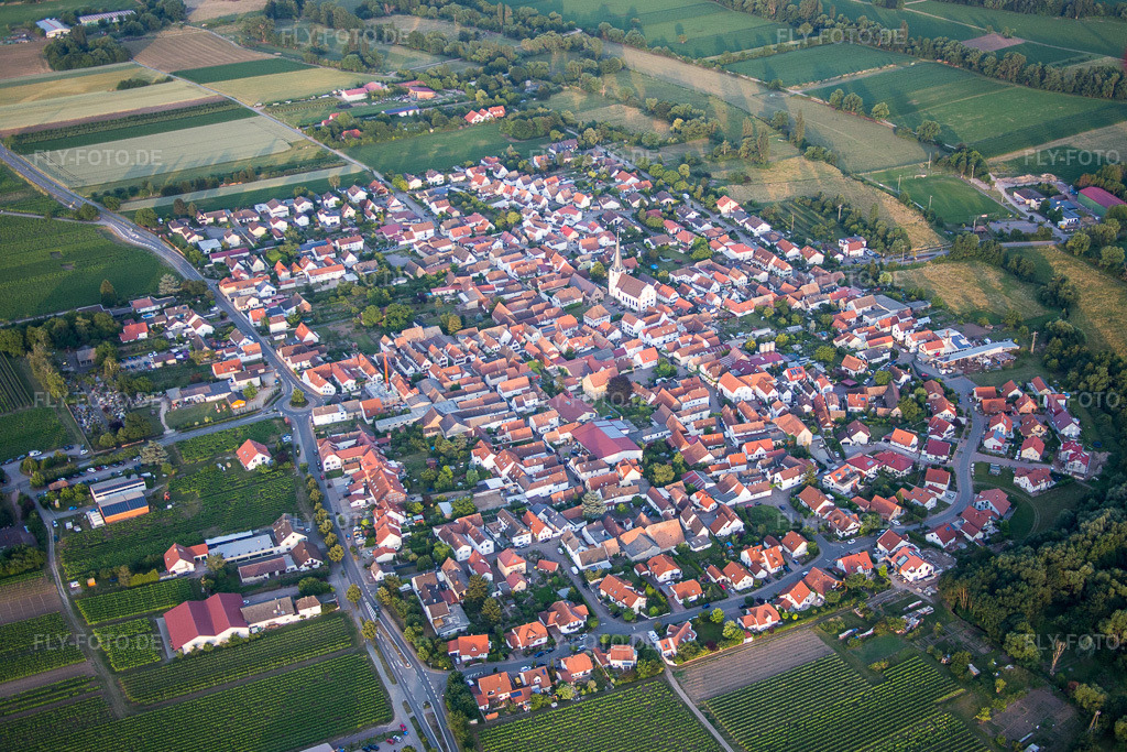 Luftbild: landwirtschaftlichen Feldern und Nutzflächen in Venningen im Bundesland Rheinland-Pfalz in Deutschland. Foto: IMG_082782.jpg vom 25.06.2015 durch Werner Riehm/FLY-FOTO.de