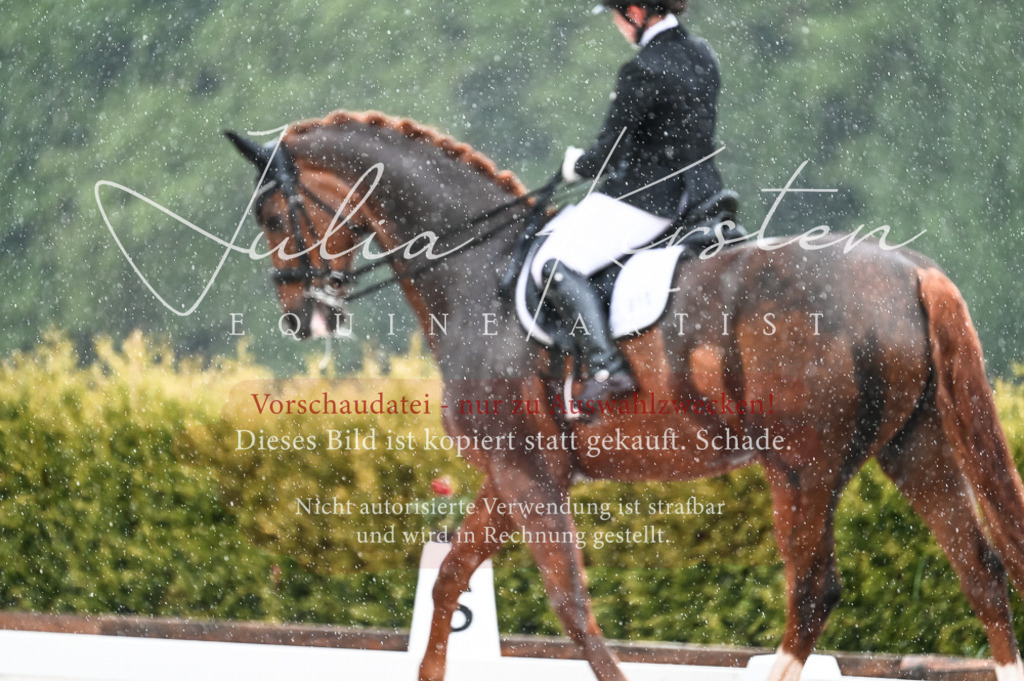 DSC_4087 | Pferde- und Turnierfotografie in Westsachsen. Pferdeportraits, Auftragszeichnungen und intuitive Kunst.