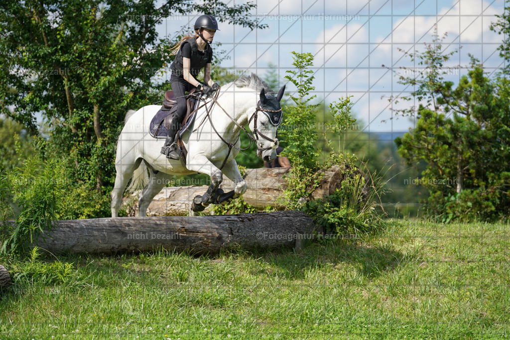 20240622-FAH08072 | Turnierfotografen Bayern, Reitsportbilder aus dem Geländekurs mit Felix Etzel auf dem Gut Waitzacker 2024