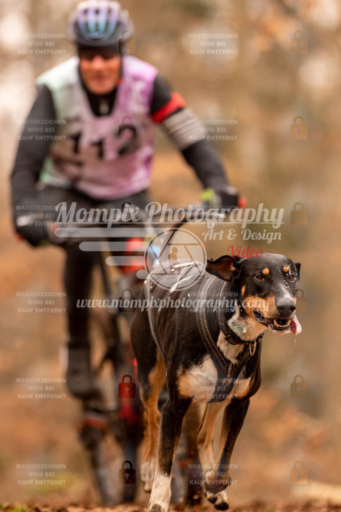 AKM_ST_2023_SAM_Bike-129 | PayLife