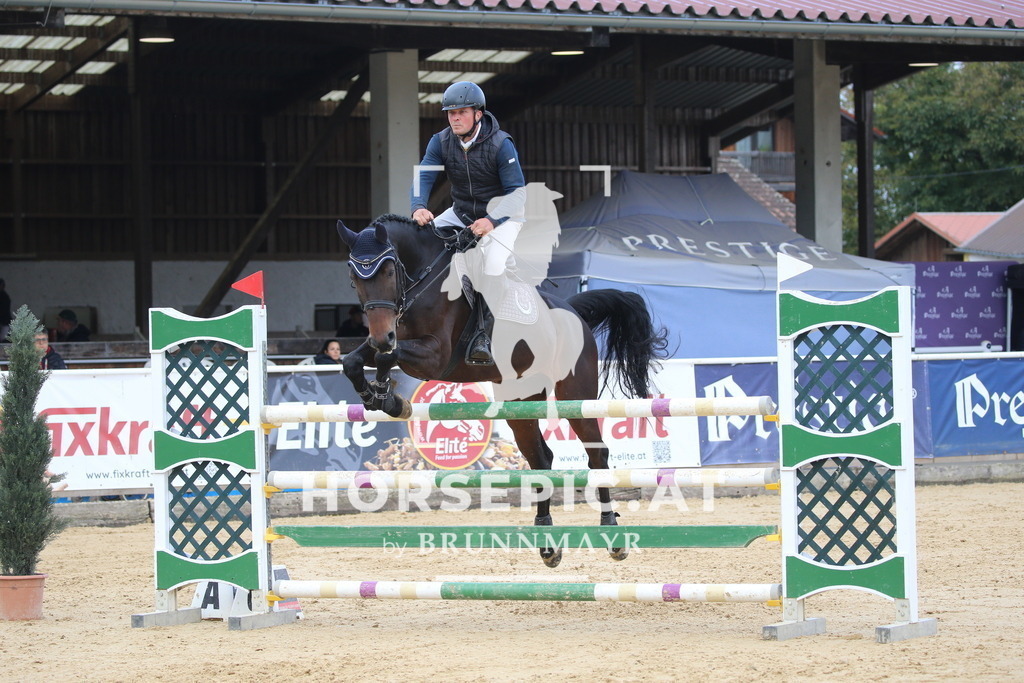 DL2Q2062 | Willkommen bei Brunnmayr - Design & Fotografie – Ihrem Spezialisten für Reitturniere und Pferdeveranstaltungen in Oberösterreich, Salzburg und Bayern! Seit über 17 Jahren sind wir leidenschaftlich dabei.