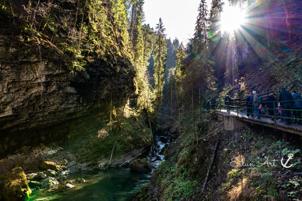 20241102-EAF_5492 | Eilun-Art-Fotografie Levke Martens, ihre Fotografin für Immobilien- und Landschaftsfotografie auf Föhr, Föhrer Motive als Poster, Leinwand, hinter Acrylglas oder stelle dir deinen eigenen Monatskalender zusammen, mit nur einem Klick