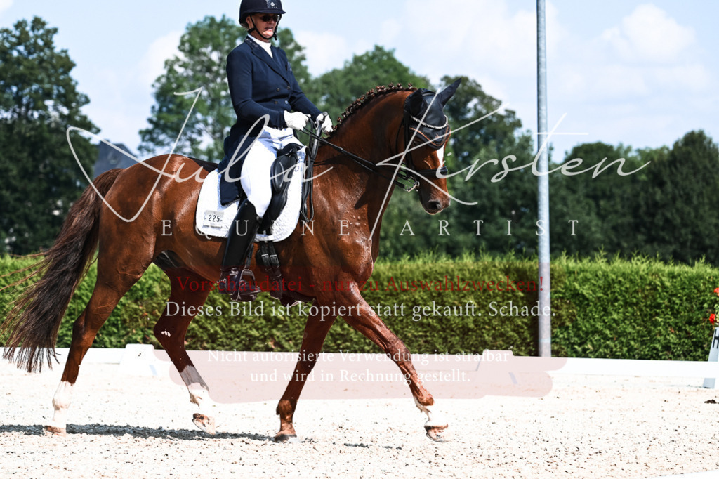 DSC_3184 | Pferde- und Turnierfotografie in Westsachsen. Pferdeportraits, Auftragszeichnungen und intuitive Kunst.