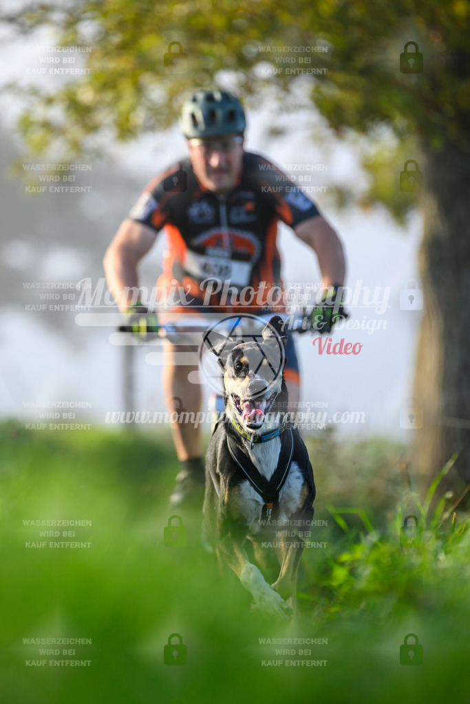 MompixPhotography_20TSB_E3_Bike-135 | PayLife