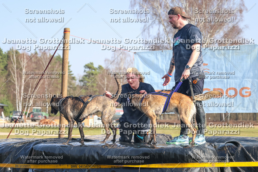 Dog Paparazzi - Strongdog North Mrz26-2334 | Dog Paparazzi Jeanette Grottendiek Fotografie & Videografie - Realisiert mit Pictrs.com