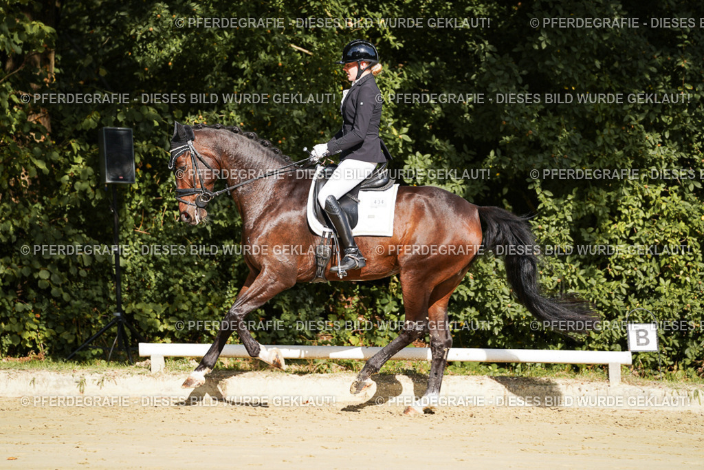 DSC07880 | Pferdegrafie