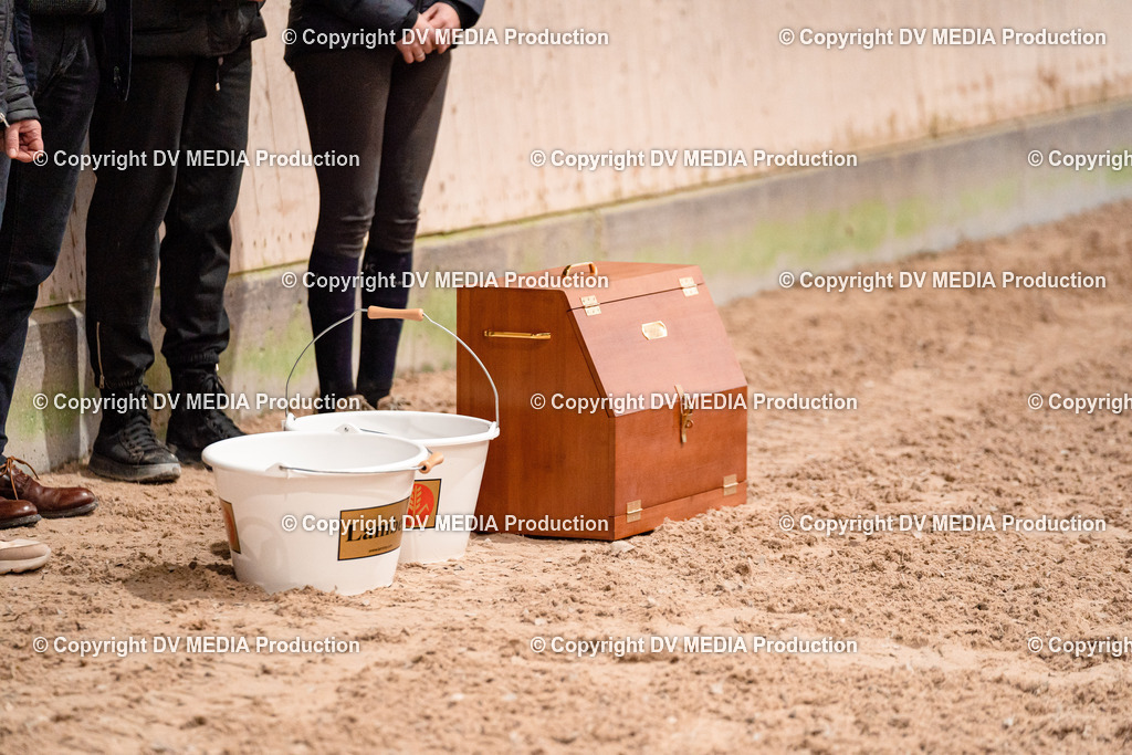 Springen Tag 3-583 | dv-media-shop - Realisiert mit Pictrs.com