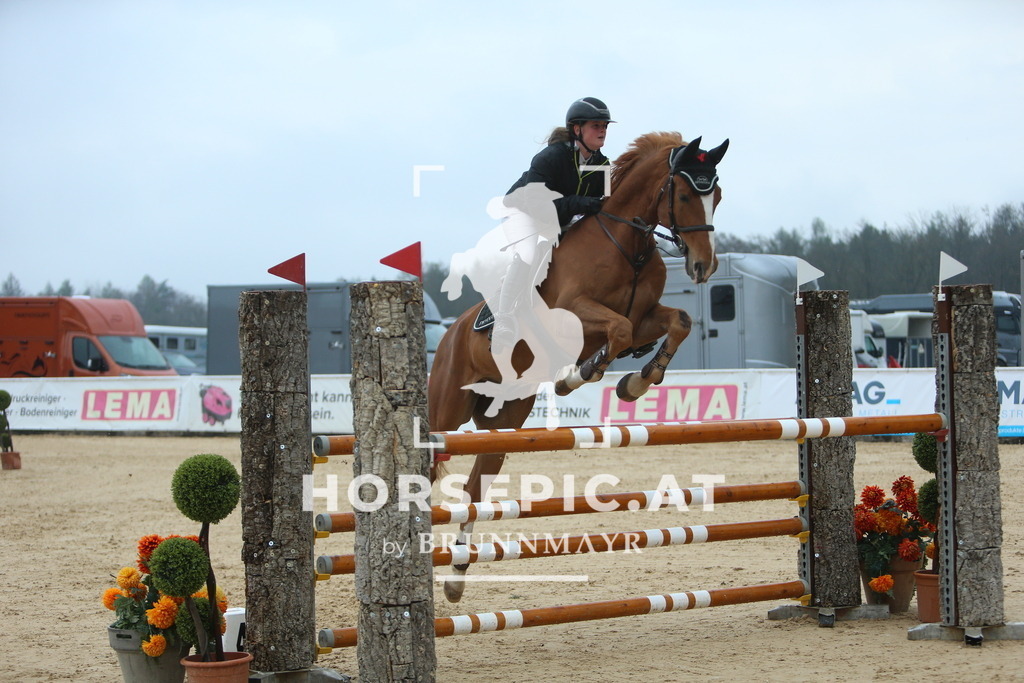 DL2Q7792 | Willkommen bei Brunnmayr - Design & Fotografie – Ihrem Spezialisten für Reitturniere und Pferdeveranstaltungen in Oberösterreich, Salzburg und Bayern! Seit über 17 Jahren sind wir leidenschaftlich dabei.