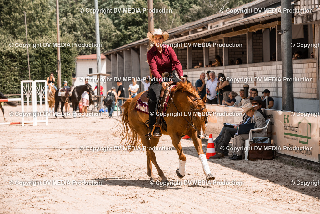 ZS3_0031 | dv-media-shop - Realisiert mit Pictrs.com