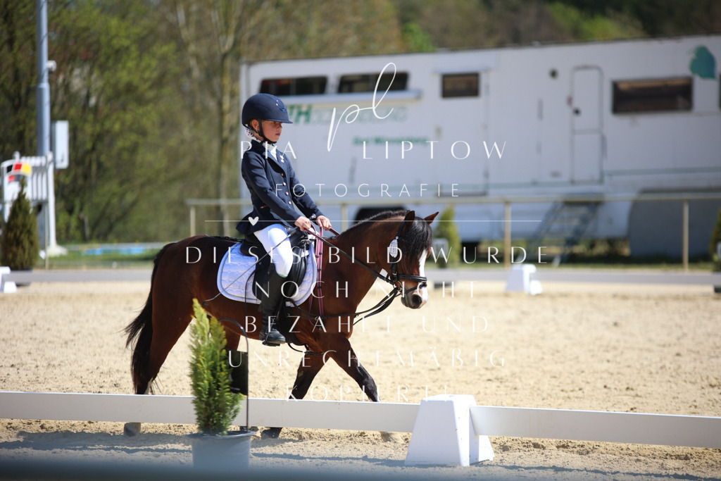 IMGT1342 | pl-fotografie