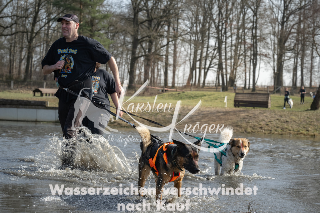 1301_ZZ93908 | kk-dogfotos