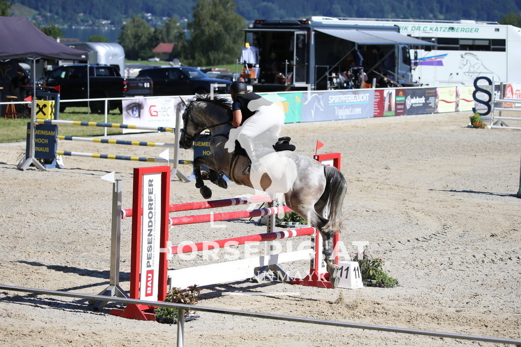 DL2Q4528 | Willkommen bei Brunnmayr - Design & Fotografie – Ihrem Spezialisten für Reitturniere und Pferdeveranstaltungen in Oberösterreich, Salzburg und Bayern! Seit über 17 Jahren sind wir leidenschaftlich dabei.