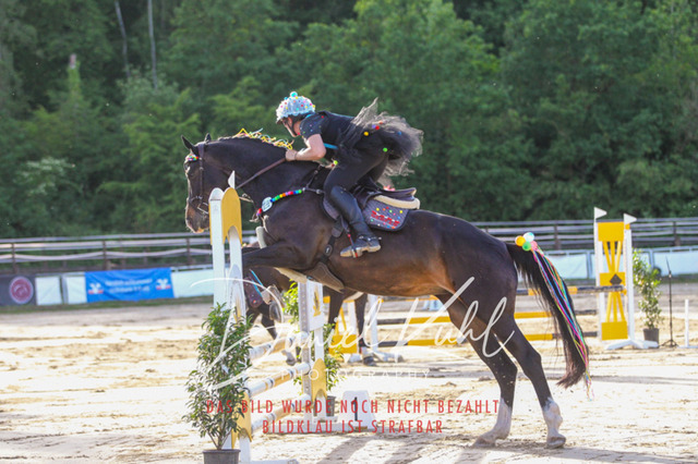 DKP45154 | Turnierfotos kaufen im Webshop von Daniel Kuhl Photography – entdecke professionelle Reitsportfotos aus Turnieren & Events. Hochwertige Turnierbilder online bestellen & sichern. Jetzt Fotos von Reitsportturnieren kaufen!