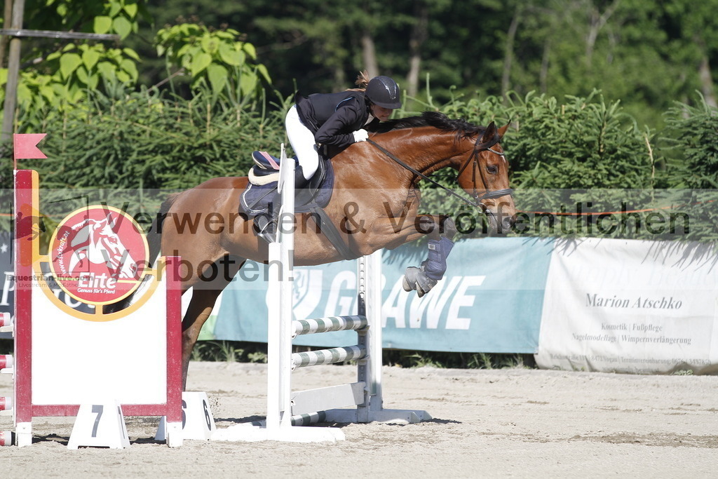_MG_2381 | equestrian-live-com