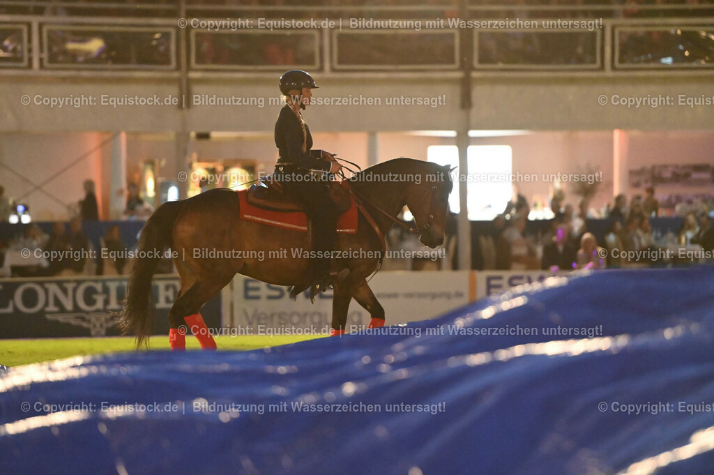 20230526_Pferdenacht_1044 | equistock