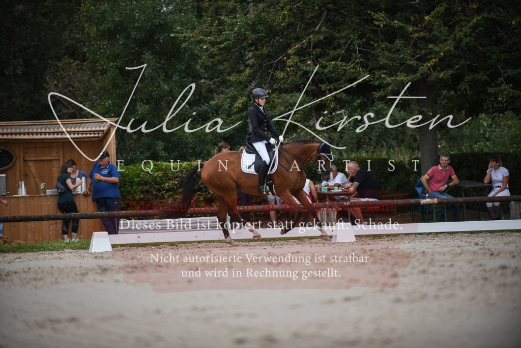 DSC_8412 | Pferde- und Turnierfotografie in Westsachsen. Pferdeportraits, Auftragszeichnungen und intuitive Kunst.