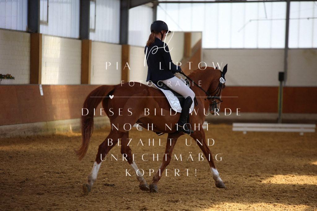 IMGT4964 | pl-fotografie