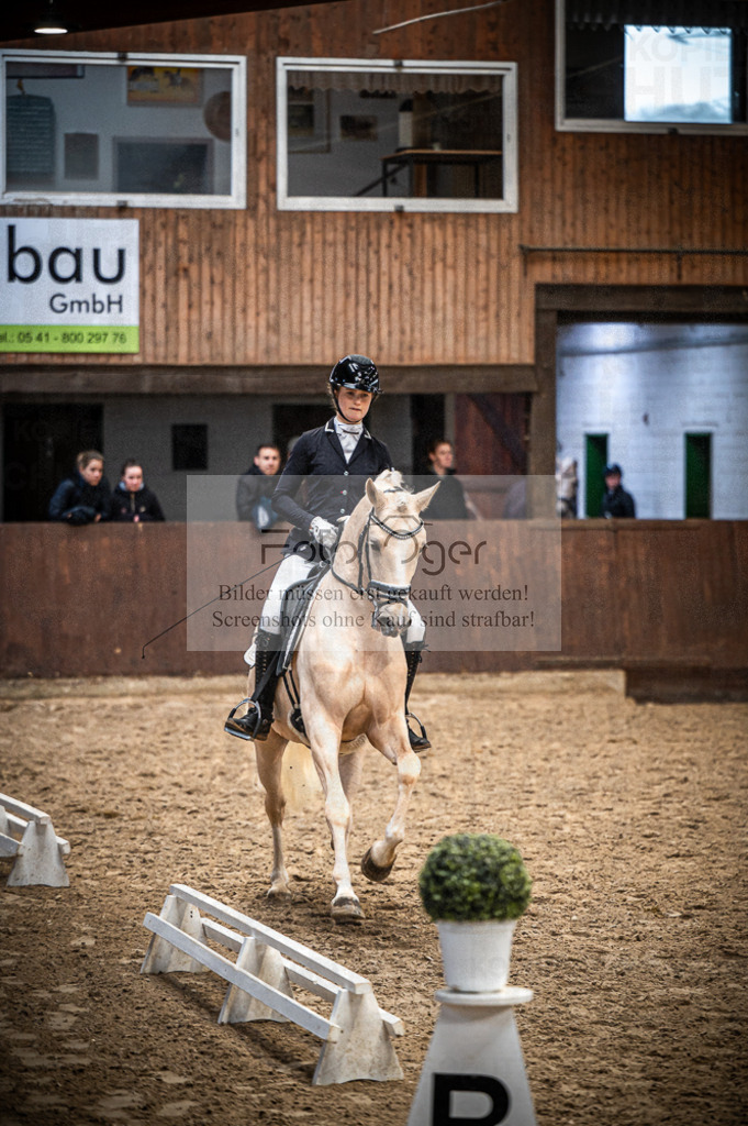 Hallenreittunier Voxtrup 2023 | Entdecke hochwertige Reitturnierfotos von Foto Oger. Professionell, emotional und authentisch – jetzt Lieblingsmomente im Shop bestellen.Deutschlandweite Turnierfotografie. - Realisiert mit Pictrs.com