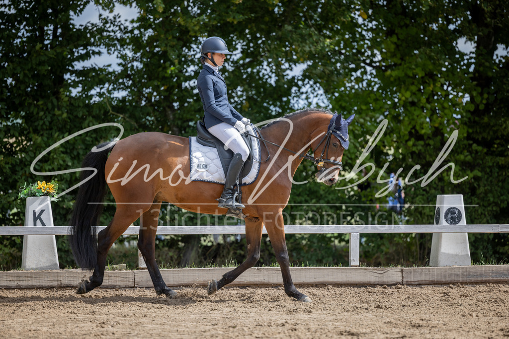 20260905-_3LI7991 | Tierfotografie Pferde, Hunde, Katzen, Haustiere.
Turnierfotografie Reitturniere, Reiten, Springreiten, Dressur in Hanau, dem Main-Kinzig-Kreis und dem Rhein-Main- Gebiet um Frankfurt