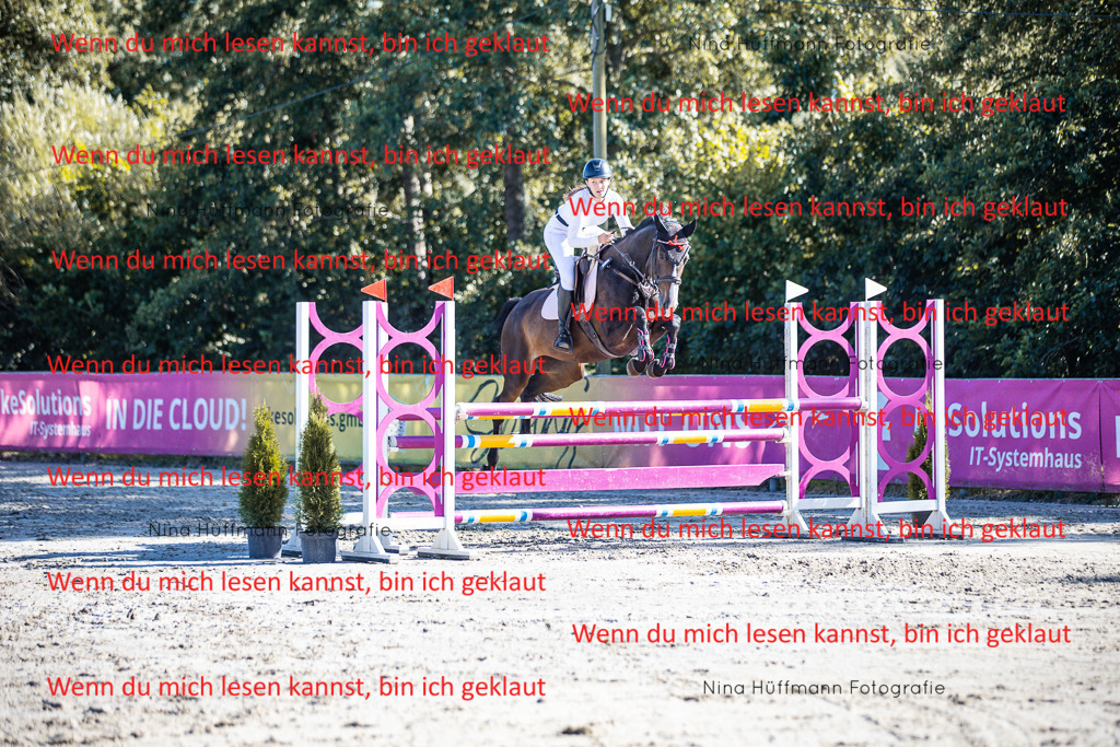 BK1A5893 | Turnierbilder Turnierfotos Nina Hüffmann Turnierfotografie Pferdefotografie Tierzeichnung Haustierzeichnung Pferdezeichnung Hundezeichnung Videograf  - Realisiert mit Pictrs.com