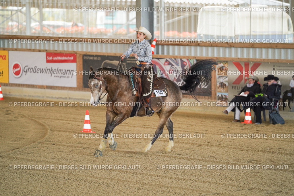 DSC00151 | Pferdegrafie