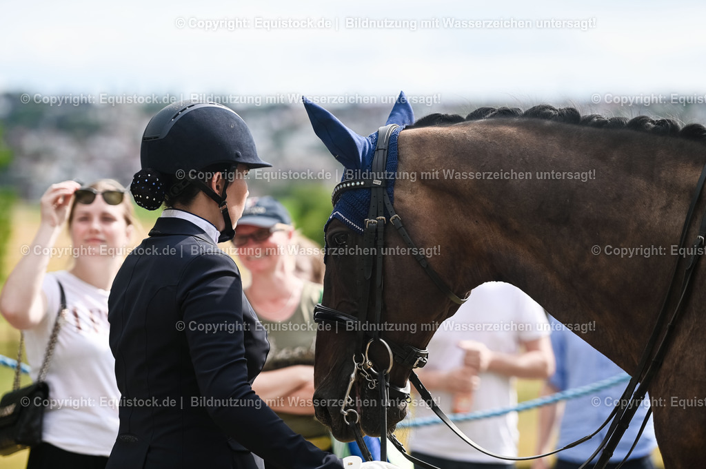 20230716_01_Dressurprüfung Kl.M_0600 | equistock