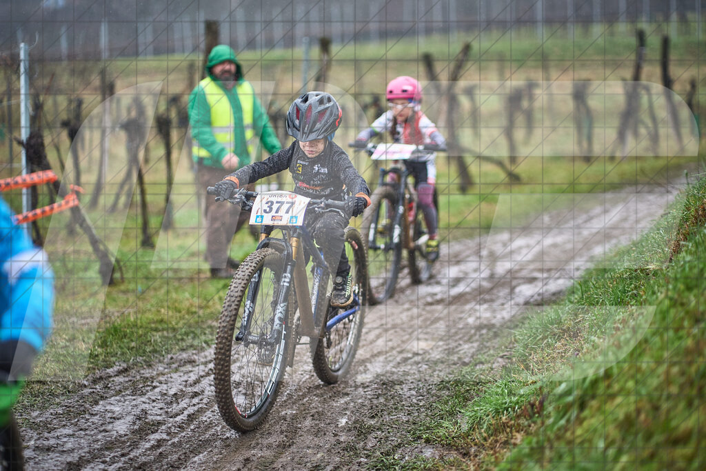 33. KTM Kamptal Trophy | 29.03.2025: 33. KTM Kamptal Trophy in Zöbing, Niederösterreich, ÖsterreichFoto: © 2025 Martin Bihounek / martinbihounek.comInsta: @martinbihounekcomFB: @martinbihounekphotography