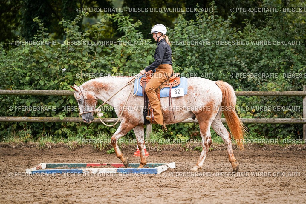 DSC04122 | Pferdegrafie