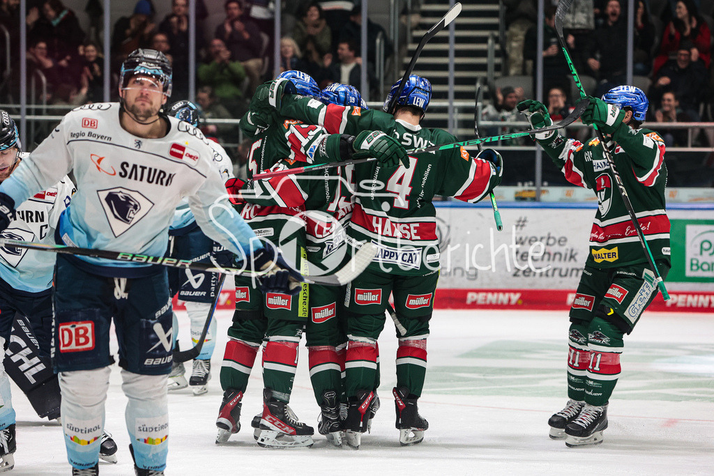 Augsburger Panther - ERC Ingolstadt | Ausgleich der Augsburger durch Blaz GREGORC (AEV #15) / Jubel