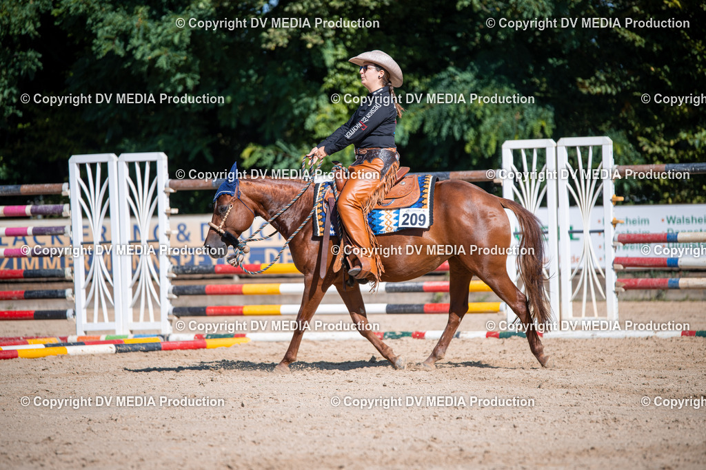 ZS1_0810 | dv-media-shop - Realisiert mit Pictrs.com