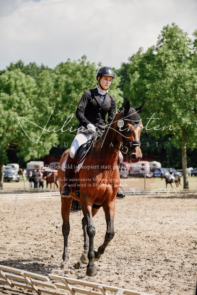 DSC_0481 | Pferde- und Turnierfotografie in Westsachsen. Pferdeportraits, Auftragszeichnungen und intuitive Kunst.
