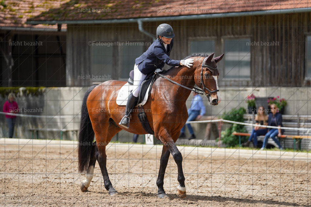 20240519-FAH05121 | Turnierbilder Niederseeon 2024, Vielseitigkeitsdressur, Reitsportbilder aus dem Landkreit Ebersberg, Gut Steinsee, RC Steinsee, Fotoagentur Herrmann