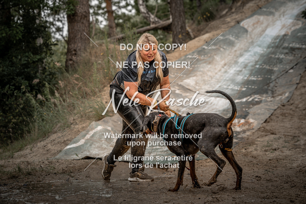 nelerasche_sa1300-1345_616 | nelerasche