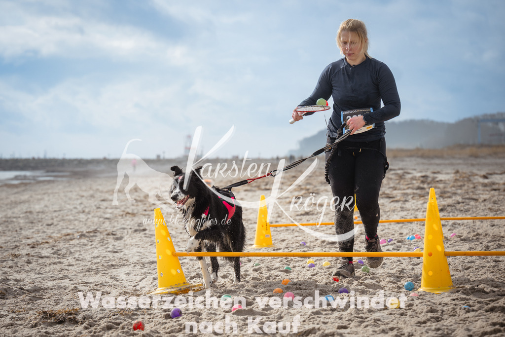 1217_ZZ96089 | kk-dogfotos