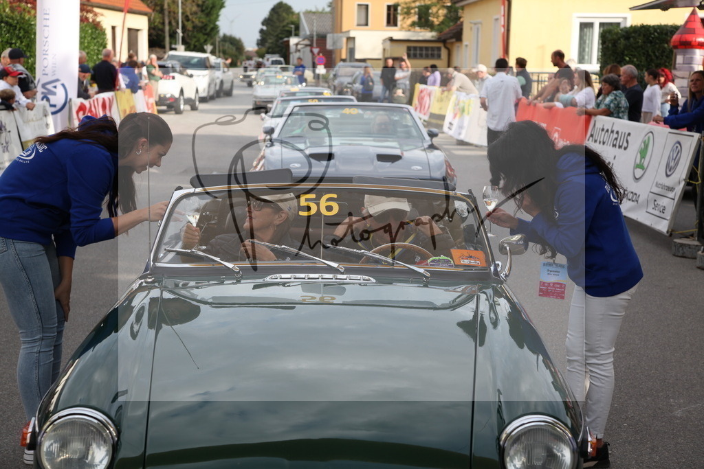 IMG_6130 | Gerhard Witt