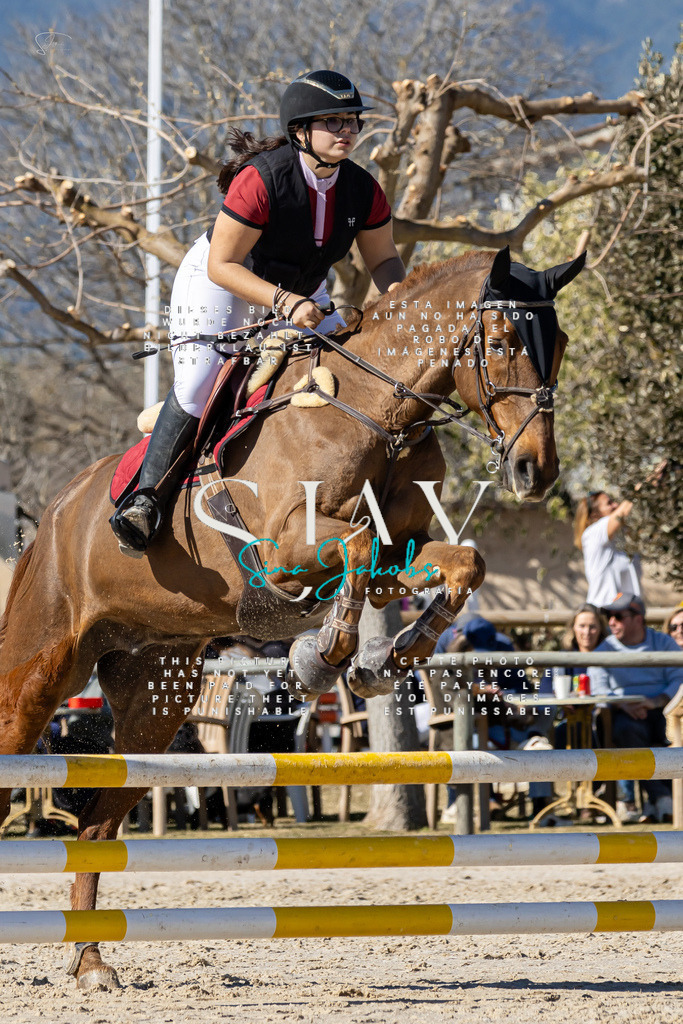 IMG_9230 | s-jay-photography - Realisiert mit Pictrs.com