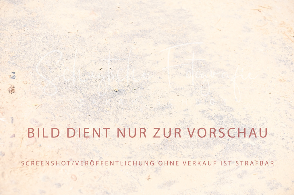 Schugtsche-Aluta25-53.Amat.Dressurprf.A2-332 | Schugtsche Fotografie - Realisiert mit Pictrs.com
