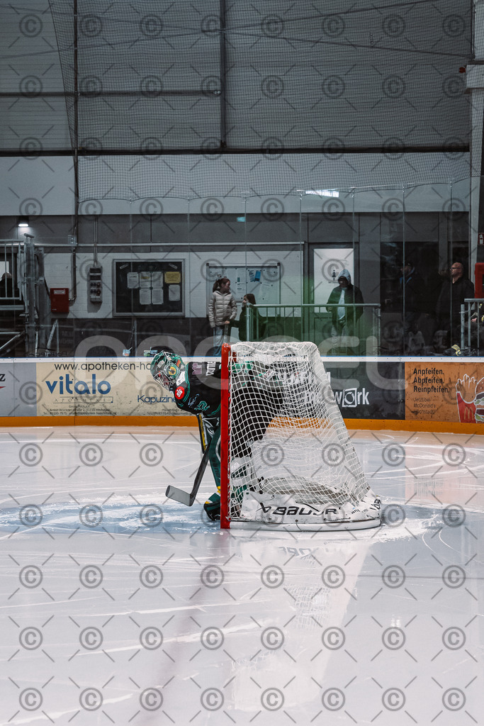 Alligators_vs_Deggendorf_30_11_2025-020 | Höchstadt Alligators Fotogalerie: Eishockey-Action aus Franken. Professionelle Spielfotos, Portraits & Stadionbilder zum Download. Jetzt entdecken! - Realisiert mit Pictrs.com