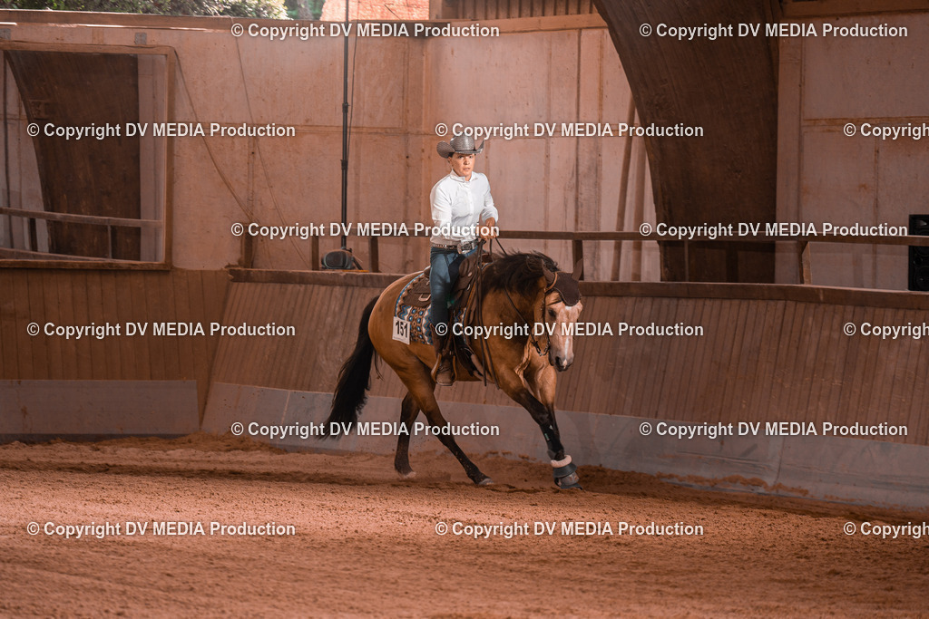 NE201220 | dv-media-shop - Realisiert mit Pictrs.com