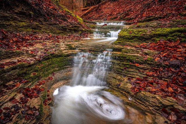 Kleiner Fluss im Wald mit Wasserfall | Professionelle Natur- & Landschaftsfotos als Poster, auf Leinwand & viele mehr. Wähle aus einer Vielzahl an Formaten & Materialien Dein perfektes Bild. - Realisiert mit Pictrs.com