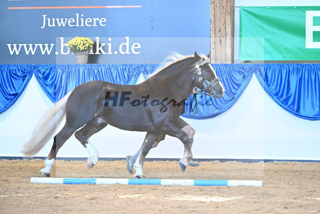 Kat-Nr. 97 Verry_Woerndl_53220636 | hf-fotografie - Realisiert mit Pictrs.com
