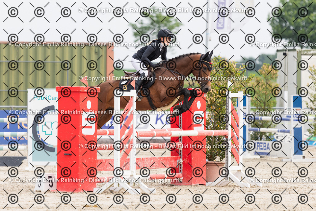 CL5A2008 | Emilia Reinking Fotografie - Realisiert mit Pictrs.com