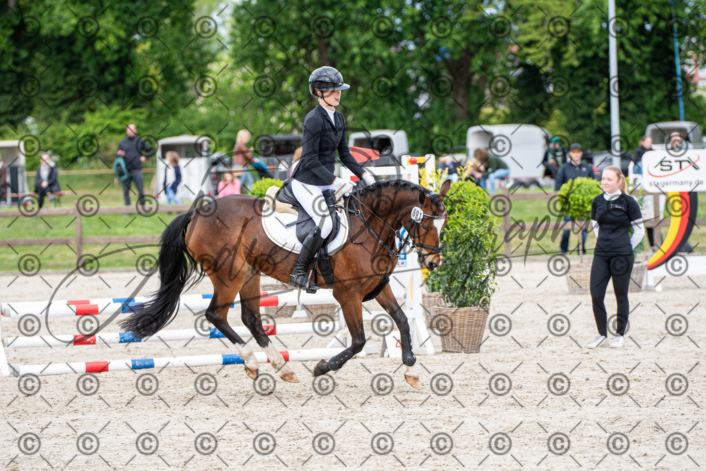 KPT_5929 | andre_photographic