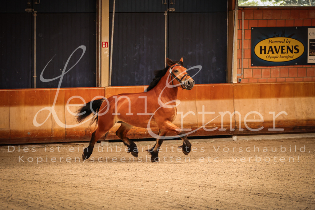 SaFL00010 | Leoni Ertmer Photography - Realisiert mit Pictrs.com