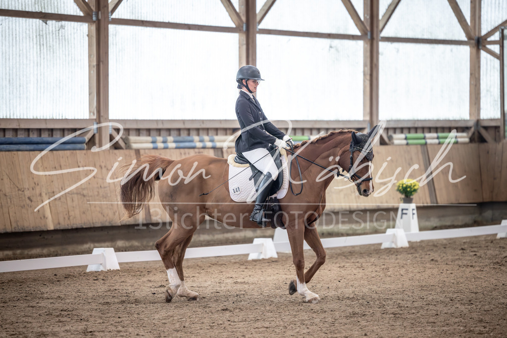 20251011-_3LI9671 | Tierfotografie Pferde, Hunde, Katzen, Haustiere.
Turnierfotografie Reitturniere, Reiten, Springreiten, Dressur in Hanau, dem Main-Kinzig-Kreis und dem Rhein-Main- Gebiet um Frankfurt